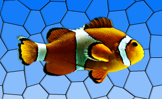 Image of a fish without any graphical effects