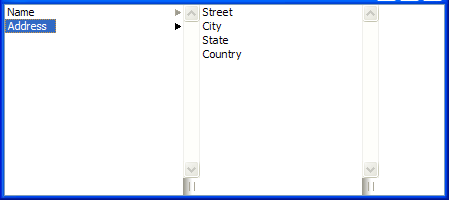 Address information in a column view